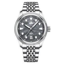 Delphinus 100M PY066D Gray...